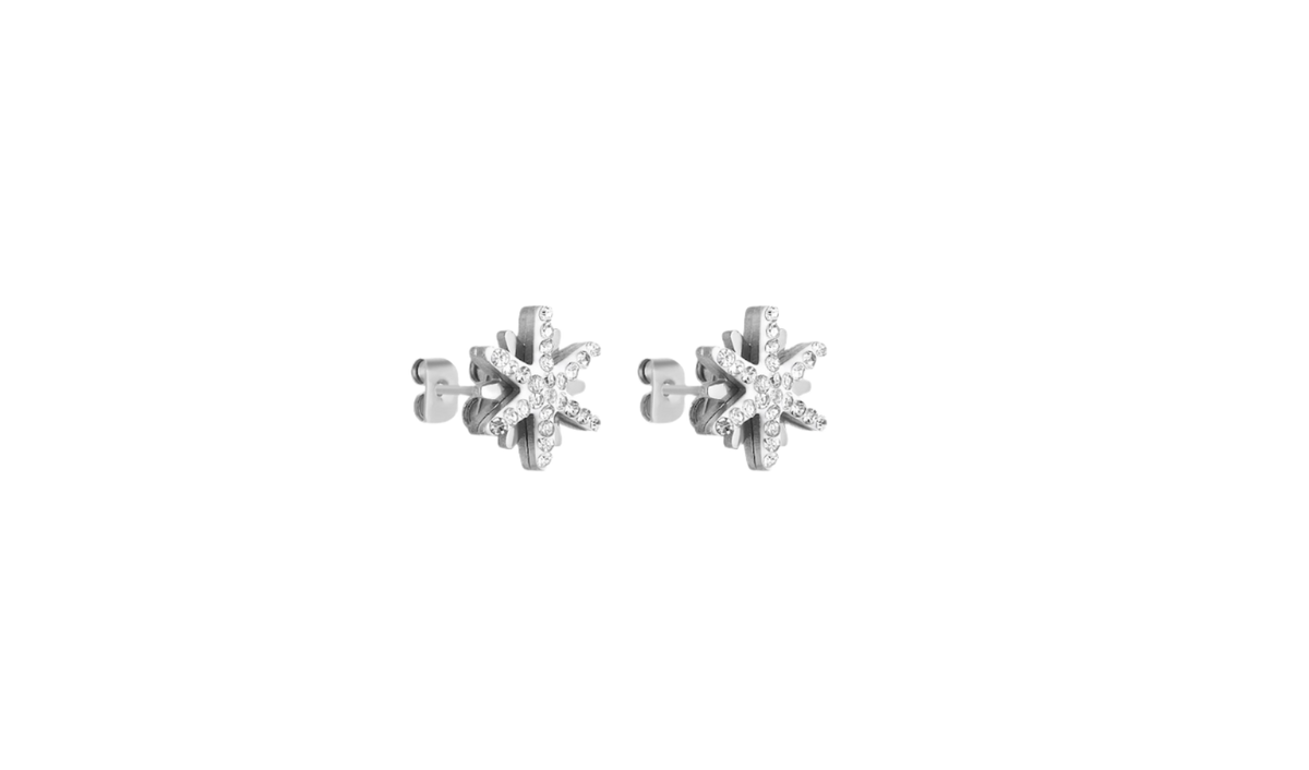 Daniel Klein Women Silver Star Earring